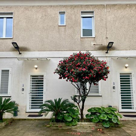 Appartamento Casa Crispino Piano Terra Per 2 Persone Frattaminore Exterior foto